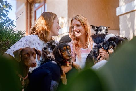 Services - Mary Puppins