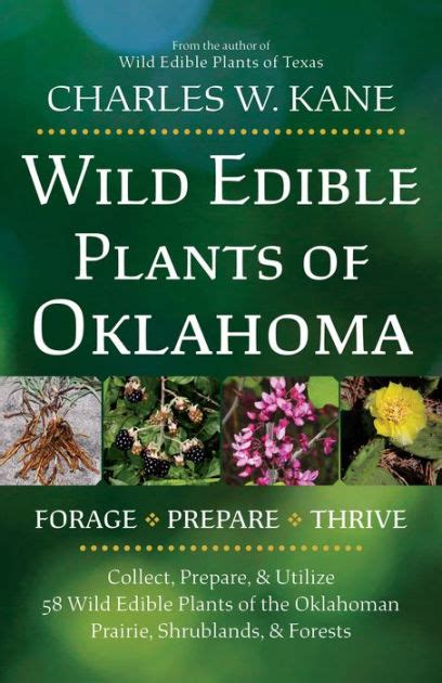 Wild Edible Plants Of Oklahoma By Charles W Kane Paperback Barnes