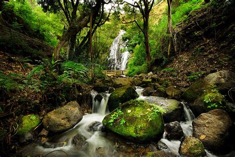 Peaceful Forest Waterfall Prisvenligt Billede På Lærred Online
