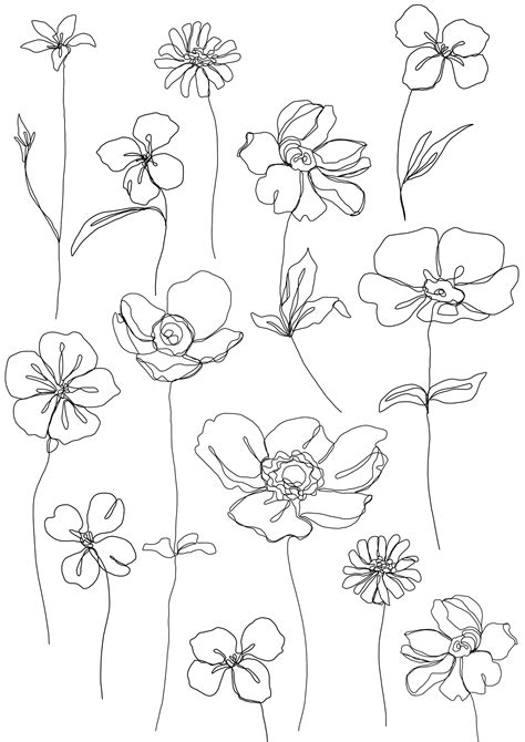Line Art Drawings Line Art Flowers Floral Drawing