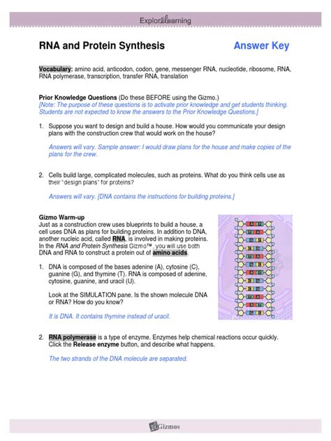 The paper student exploration energy conversions gizmo answer key. Gizmo Worksheet Answers | Kids Activities