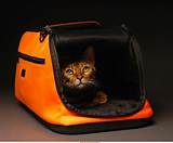 Airline Approved In Cabin Pet Carrier Images