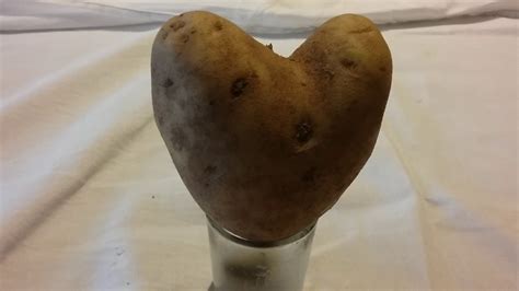I Love Potatoes Youtube