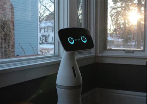 12 Personal Robots For Your Home