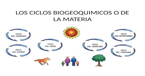 Los Ciclos Biogeoquimicos O De La Materia Qué Son Los Ciclos