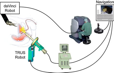 Urobotics Robots In Urology Johns Hopkins Medicine
