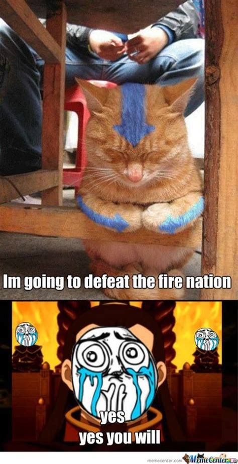 The Avatar Cat Has Come Avatar Funny Avatar Airbender The Last Avatar