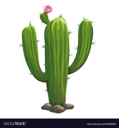 Classic Green Cactus Closeup In Cartoon Style Vector Illustration