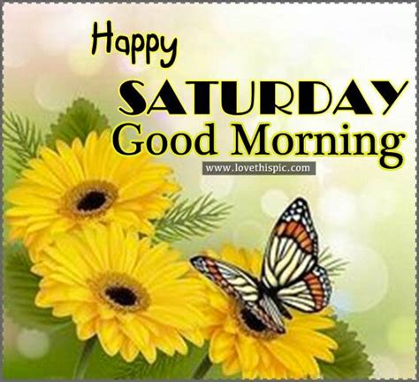 Happy Saturday Good Morning Pictures Photos And Images