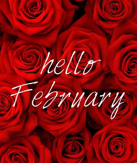A Bunch Of Red Roses With The Words Hello February