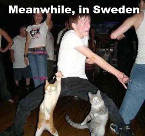 meanwhile in sweden