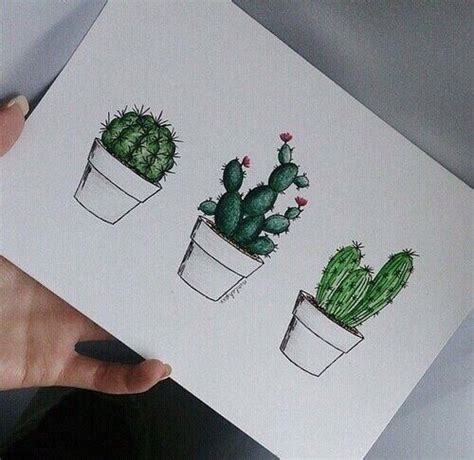 Kaktus Illustration Landscape Illustration Cactus Drawing Cactus