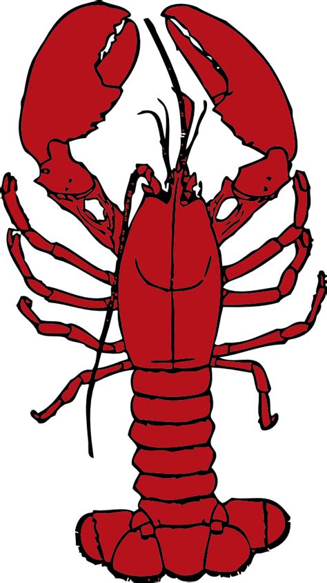 Onlinelabels Clip Art Lobster