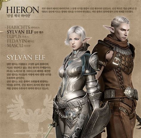 Bless Races Heiron Sylvanelf Fantasy Races Concept Art Characters