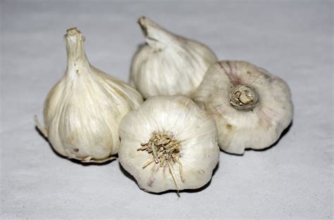 Garlic - AxomBazar.com
