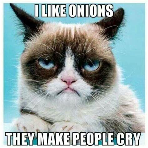 I Like Onions They Make People Cry Grumpy Cat Grumpy Cat Humor