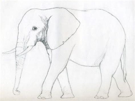 Pin On Tiere Malen Einfach Elefant