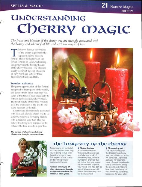 Understanding Cherry Magick Magickal Herbs Herbal Magic Herbalism