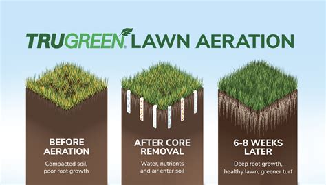 Benefits Of Lawn Aeration Trugreen Trugreen