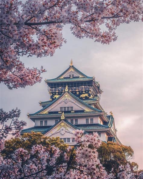 Everything you need to know about osaka castle, the symbol of osaka! Osaka castle, Japan. : MostBeautiful