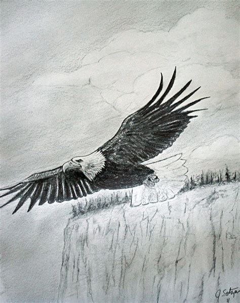 Soaring Eagle Drawing By Jason Sotzen