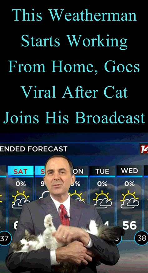 This Weatherman Starts Working From Home Goes Viral After Cat Joins