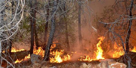 Antalya'nın kumluca ilçesinde henüz belirlenemeyen bir nedenle orman yangını çıktı. Antalya'da 3 günde 22 yangın!