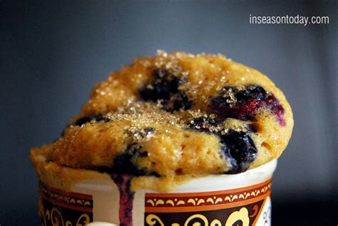 In Season Now Blueberry Muffin Mug In Season Today