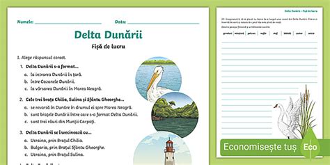 Delta Dunării Fișă de lucru Geografie Twinkl România