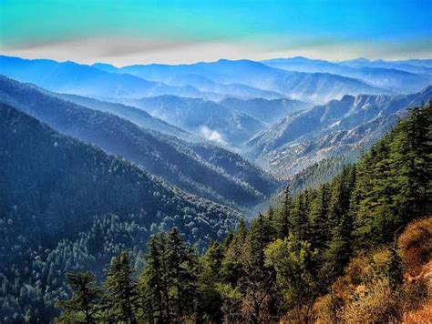 Green Valley Shimla Connecting Traveller