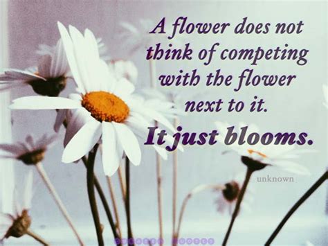 The 52 Best Quotes About Flowers Curated Quotes