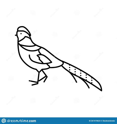 Golden Pheasant Bird Exotic Line Icon Vector Illustration Stock Vector