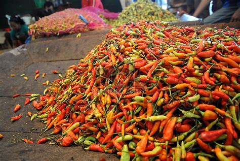 Khasiat bawang merah dan telur. Harga Telur, Cabe dan Bawang Merah Meroket ...