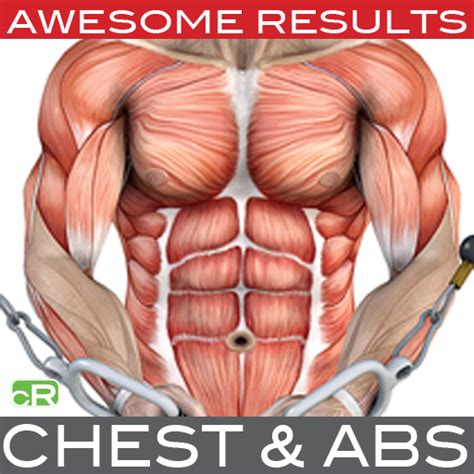 The first thing you will need is a regular 6 meals a. Chest & Abs: Muscle Building with Craig Ramsay: Amazon.co ...