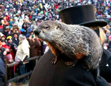 We did not find results for: Groundhog's Day is seriously underrated - The Collegiate Live