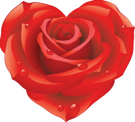 Rose Png Flower Images Free Download
