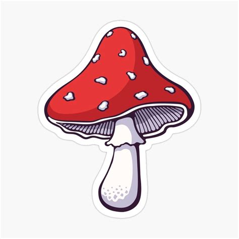 Mushroom Aesthetic Drawing Images Drawing Skill