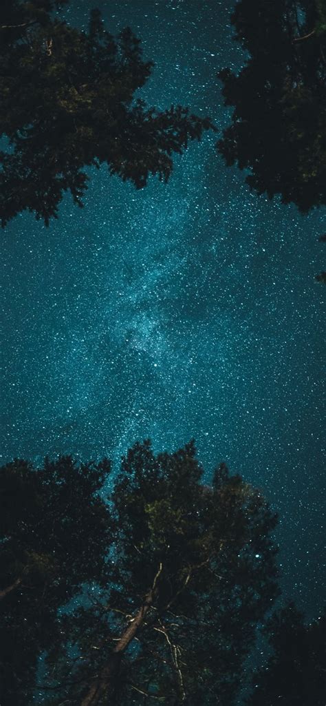 Starry Night Iphone 11 Wallpapers Free Download