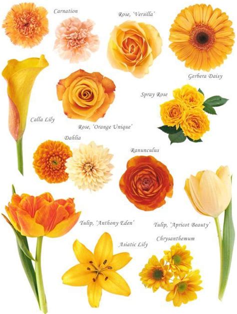 Flower Names By Color Have You Ever Found A Picture Of A Bouquet And