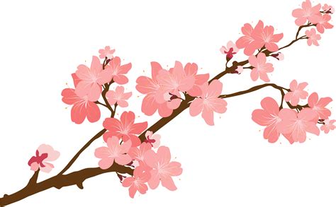 Blooming Cherry Tree Png Graphic