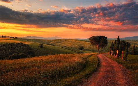Wallpaper Tuscany Road Trees Fields Clouds Morning Italy