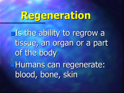 13 Regenerationppt