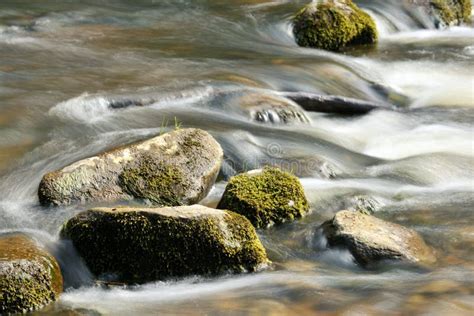 Fast Mountain River Flows In Forest Among Rocks And Mossy Stones Stock