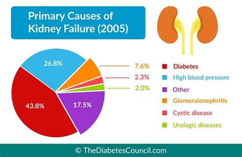 Acute Renal Kidney Failure Causes Symptoms Diagnosis Vrogue Co