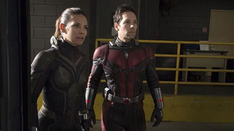 Evangeline Lilly Reacts To Ant Man And The Wasp Quantumania Script