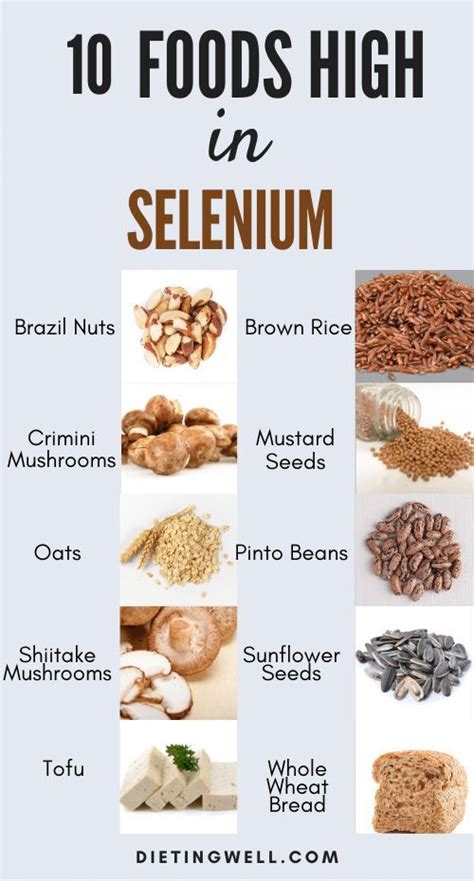 10 Nutritious Plant Foods Rich In Selenium Artofit