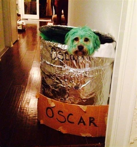 How To Make An Oscar The Grouch Halloween Costume Luna Halloween