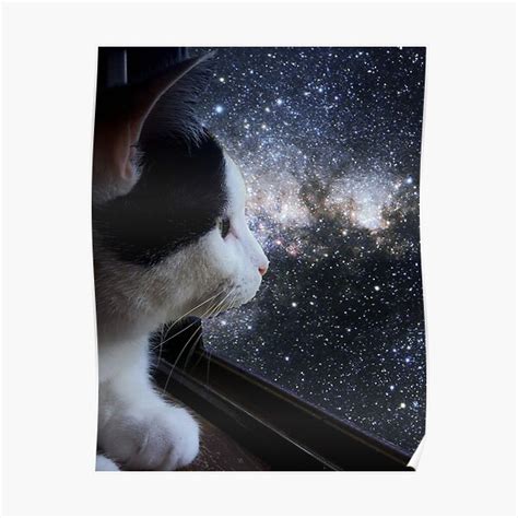 Galaxy Cat Poster By Jennamalena Redbubble