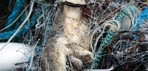 Ghostnet Washes Up On North Cornwall Beach Heart Cornwall