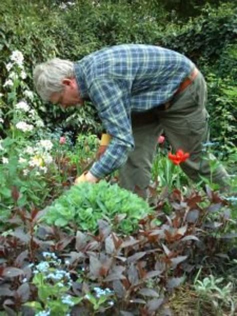 Glyphosate is one of the most widely used herbicides in the united states. 5 Ways to Control Pests in Your Organic Garden | Garden ...